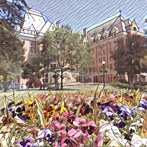 欧美射精猎奇网站视频
